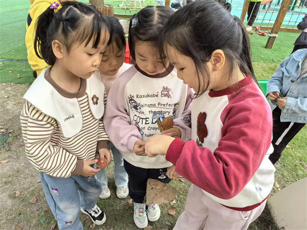 趣寻秋意，乐享自然