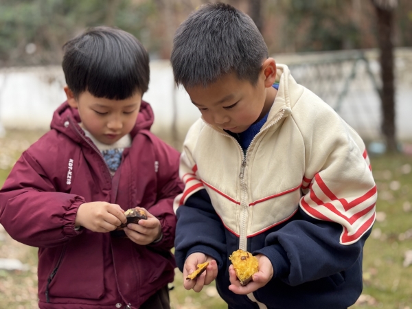 乐在暖冬，薯香满园